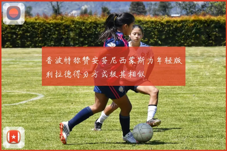 香波特称赞安芬尼西蒙斯为年轻版利拉德得分方式极其相似